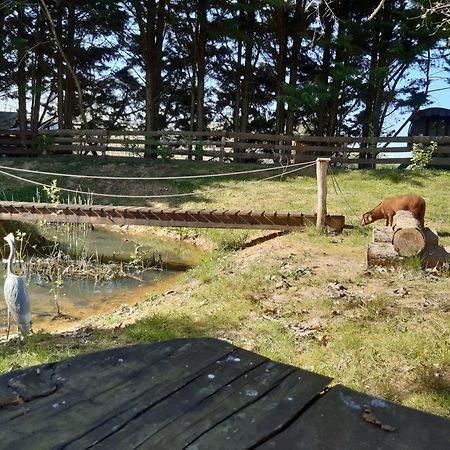 Tente Trappeur Ada, Au Jardin De La Vouivre Saint-Vincent-en-Bresse Zewnętrze zdjęcie