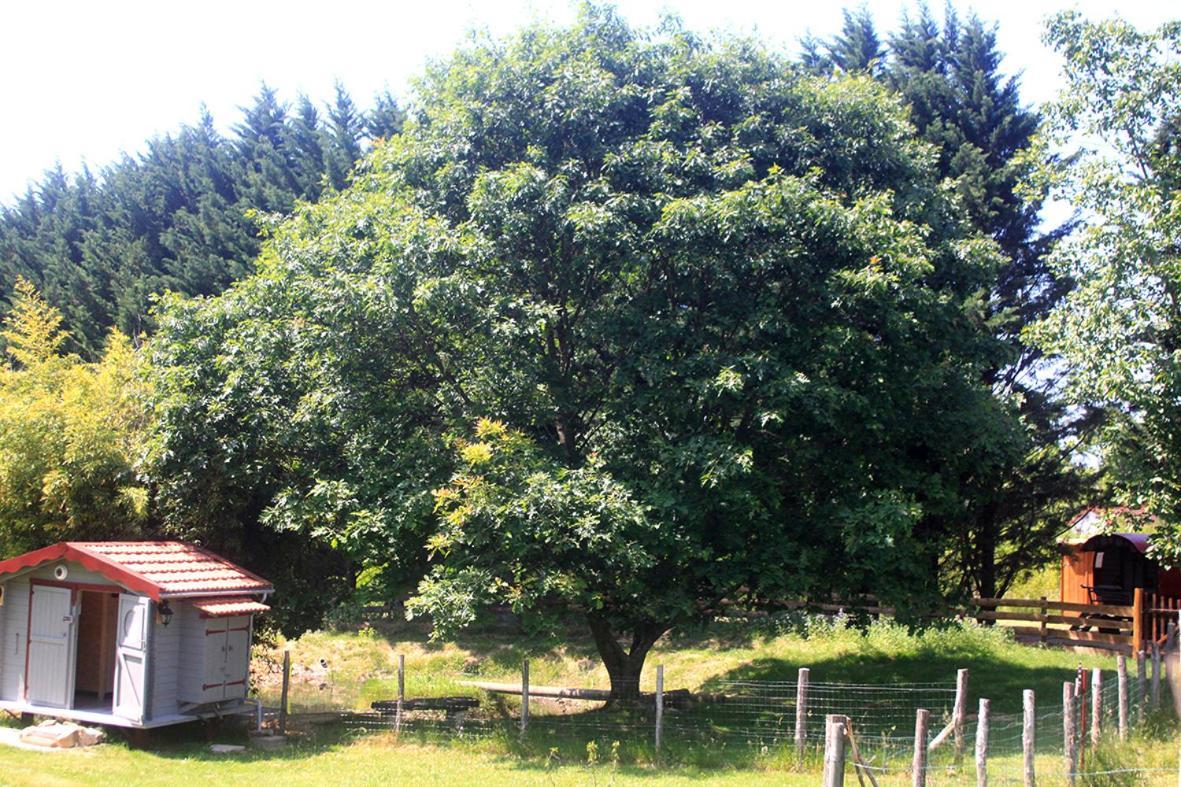 Tente Trappeur Ada, Au Jardin De La Vouivre Saint-Vincent-en-Bresse Zewnętrze zdjęcie