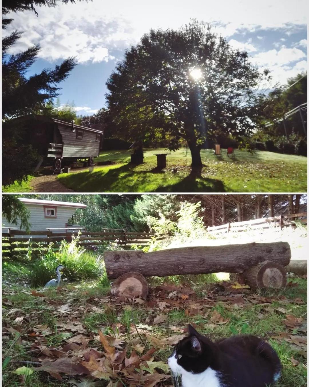 Tente Trappeur Ada, Au Jardin De La Vouivre Saint-Vincent-en-Bresse Zewnętrze zdjęcie