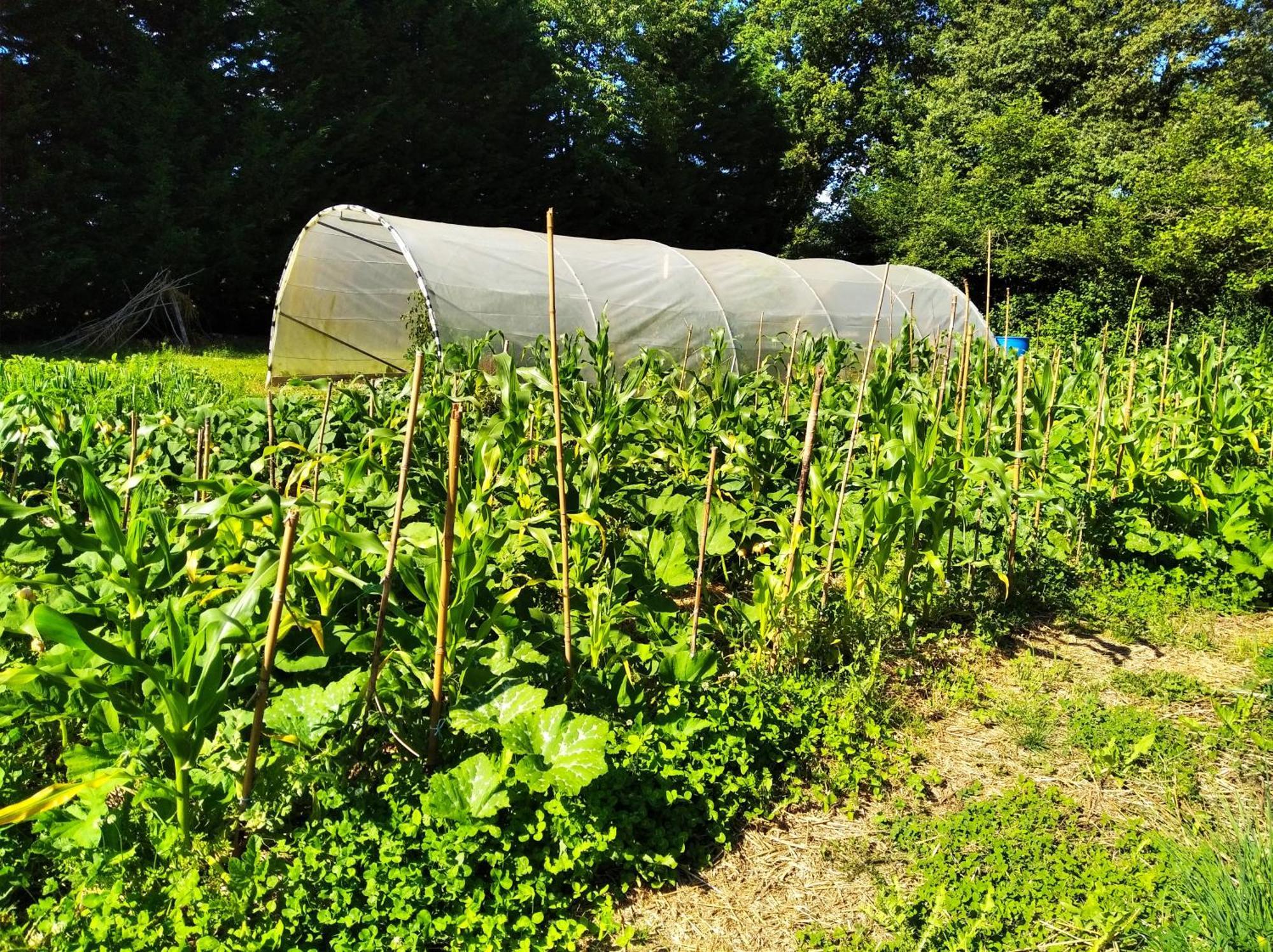 Tente Trappeur Ada, Au Jardin De La Vouivre Saint-Vincent-en-Bresse Zewnętrze zdjęcie