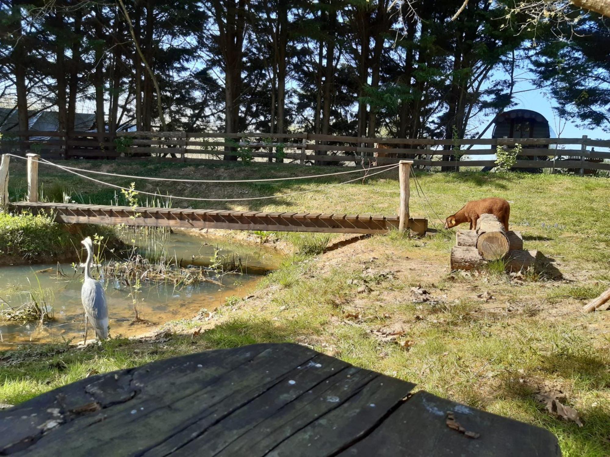 Tente Trappeur Ada, Au Jardin De La Vouivre Saint-Vincent-en-Bresse Zewnętrze zdjęcie