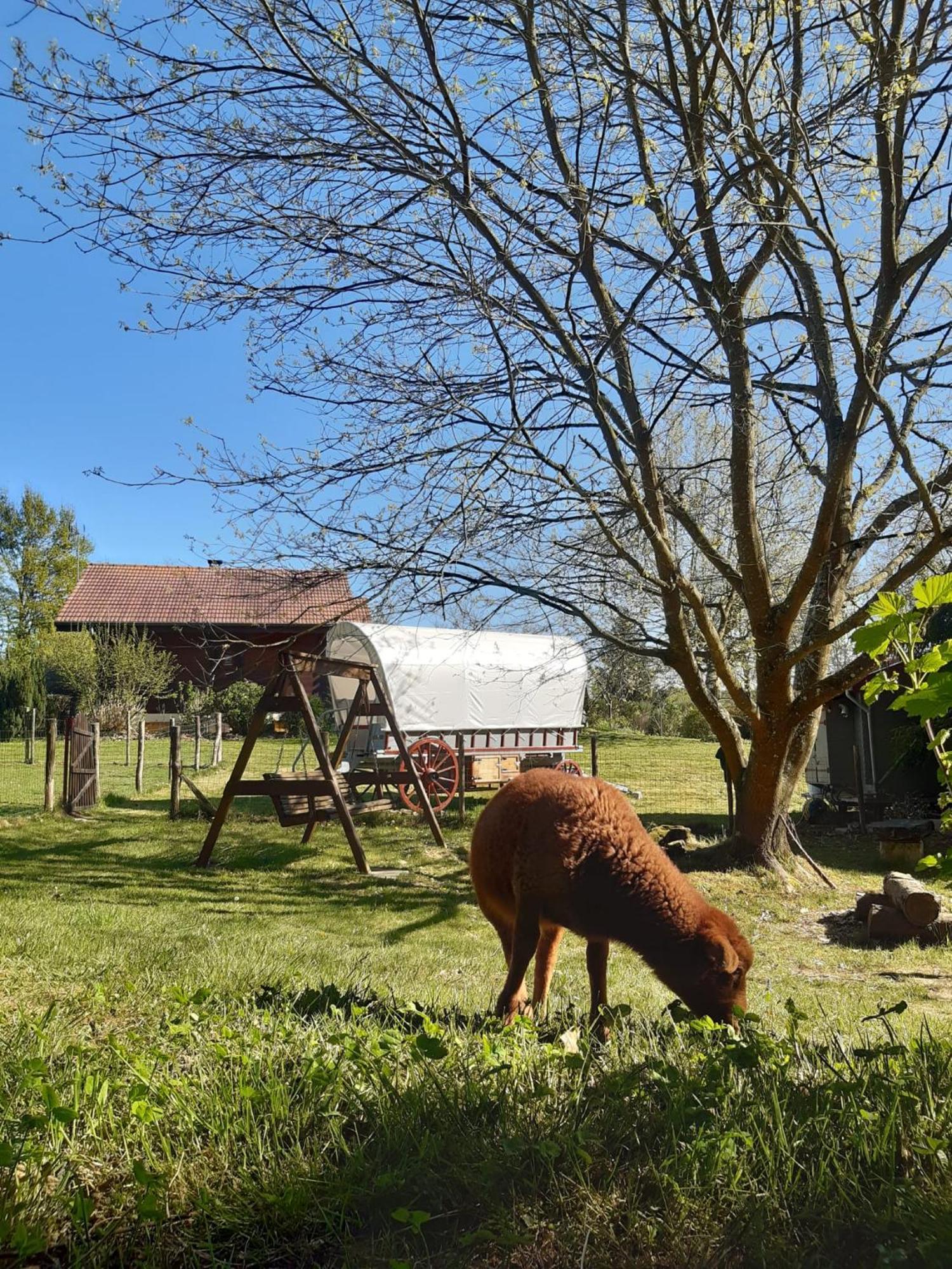 Tente Trappeur Ada, Au Jardin De La Vouivre Saint-Vincent-en-Bresse Zewnętrze zdjęcie